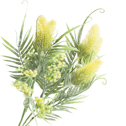 CV38674-2 BUNCH GRASBLÄTTER OSET BLUMEN x 5 GELB