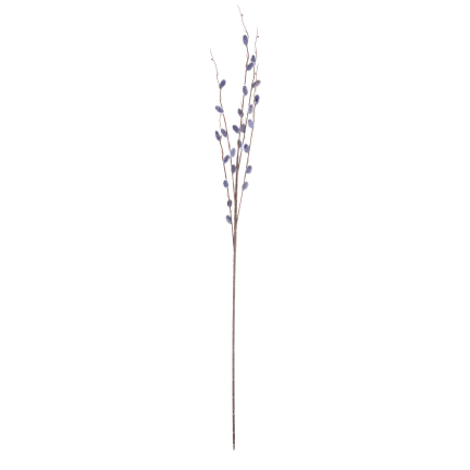 Kätzchenzweig, Kätzchen im Frühling, Osterdekoration, Dekoration für den Tischschmuck