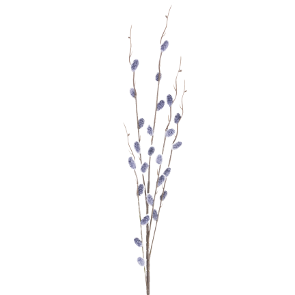 Kätzchenzweig, Kätzchen im Frühling, Osterdekoration, Dekoration für den Tischschmuck