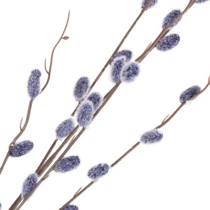 Kätzchenzweig, Kätzchen im Frühling, Osterdekoration, Dekoration für den Tischschmuck