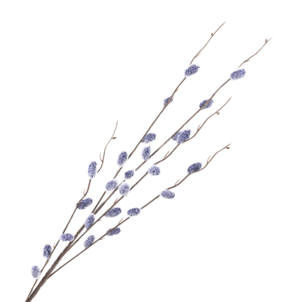 Kätzchenzweig, Kätzchen im Frühling, Osterdekoration, Dekoration für den Tischschmuck