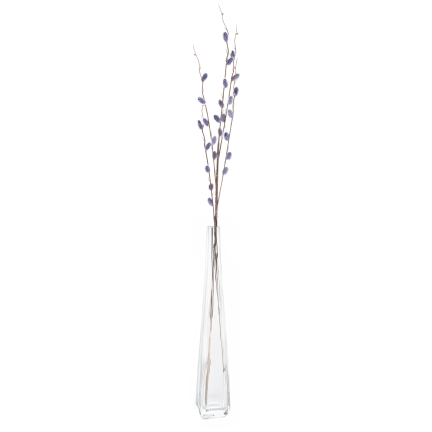 Kätzchenzweig, Kätzchen im Frühling, Osterdekoration, Dekoration für den Tischschmuck