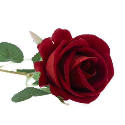 CV40108-2 rote Velours-Zierrose, einzeln