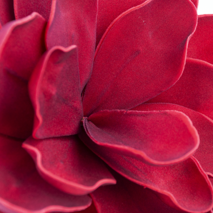 CV43057-6 – riesige dekorative burgunderrote Schaumstoffblume auf einem Stiel