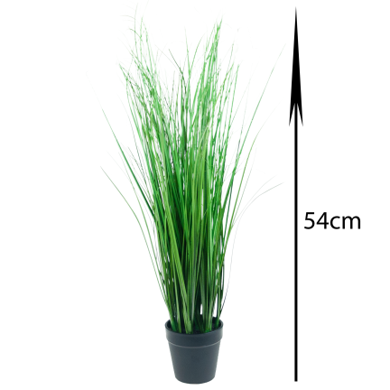 CV06318 FEAVY TRAY 54CM als lebende Dekoration