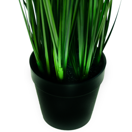 CV06318 FEAVY TRAY 54CM als lebende Dekoration
