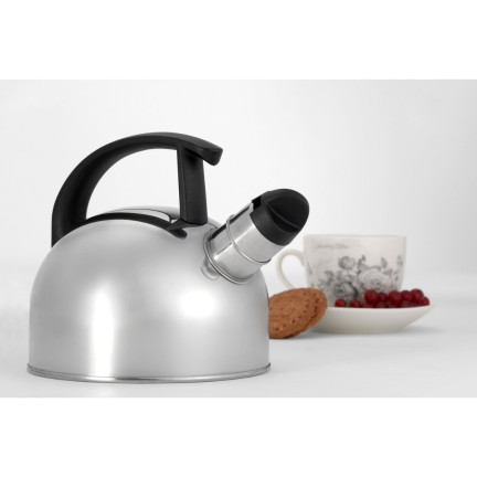 TD20 Edelstahl rostfrei Kessel 1,5 l silberfarben für INDUKTION UND GASBRENNER