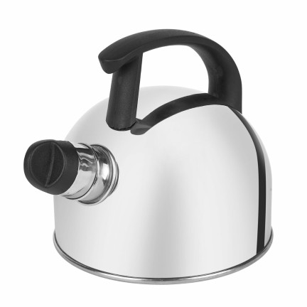 TD20 Edelstahl rostfrei Kessel 1,5 l silberfarben für INDUKTION UND GASBRENNER