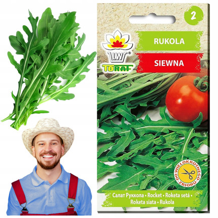 W1255 WILDWACHSENDE RUCOLA-SAMEN GEMÜSESALAT WÜRZIG 1G
