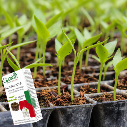 SUM28 SUMIN Multiroots Bewurzelungsmittel für Stecklinge und Zwiebeln von Zierpflanzen 100 ml