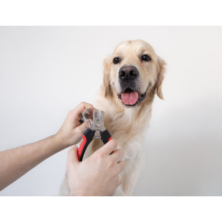 XA153 HUNDEKRALLENSCHERE KATZENKRALLEN TIERKRALLEN