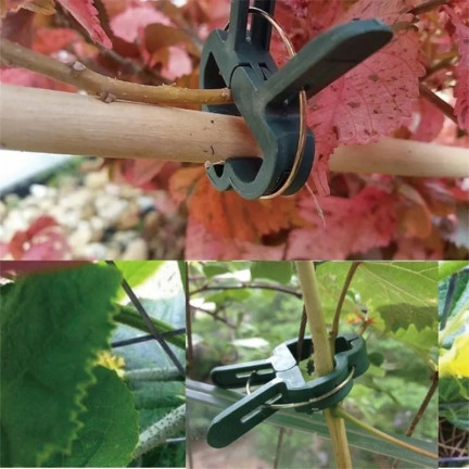 TG67386 PFLANZENBEFESTIGUNGSKLAMMERN GARTENKLAMMERN 50PCS/KPL