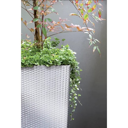 DRTS170-S449 RATTAN OUTDOOR BLUMENTOPF WEISS MIT EINSATZ TOPF HOHE ABDECKUNG