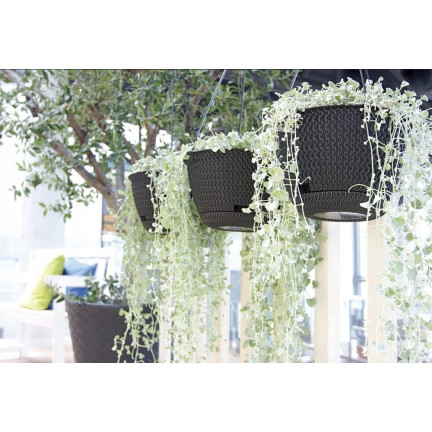 DSPW230-S433 HÄNGENDES TÖPFCHEN Ø 23 cm Rattan ANTHRACITE, rund mit Haken 3L