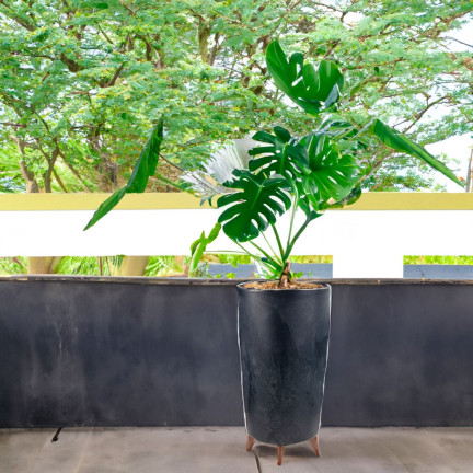 DGTL200E-S433 BLUMENTOPF GRACIA SCHLANK BETON EFFEKT BLUMENGEHÄUSE FÜSSE BETON EFFEKT