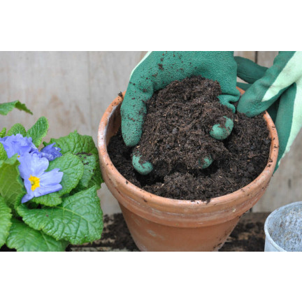 BIO15 BIO-UNIVERSALERDE FÜR BLUMEN PFLANZEN 10L MIT DÜNGER