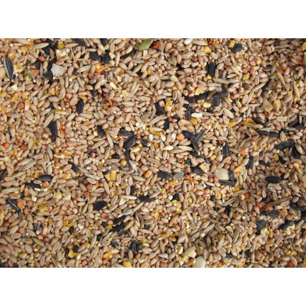 Mischfutter für Wildvögel, Ganzjahresfutter, Getreidekörner, Turdus 1 kg
