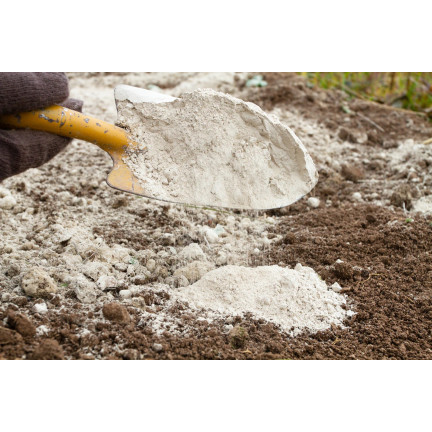 Dolomit, Kalzium-Magnesium-Dünger, Kalzium-Magnesium-Dünger für den Rasen, Biovita, 5 kg