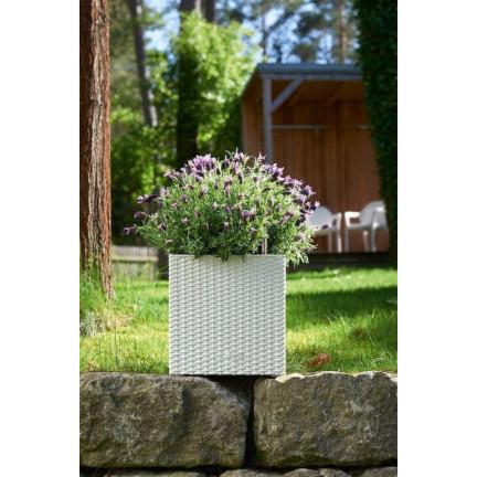 DRTS325L-S449 RATO NIEDRIGEN WEISSEN QUADRATISCHEN BLUMENTOPF BALKON GROSS RATTAN