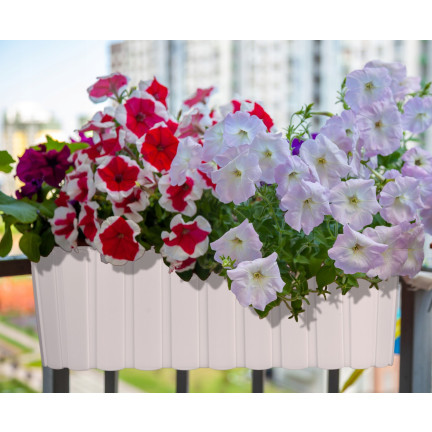 DDECZ400-S449 BLUMENTOPF BALKON OVAL BLUMENKASTEN BRÜSTUNGSHAKEN WEISS