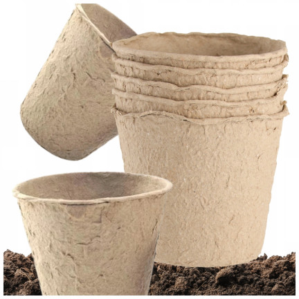 TG67327 TORF TÖPFE GROSS P10 SÄMLINGE 10CM 5PCS 0.5L