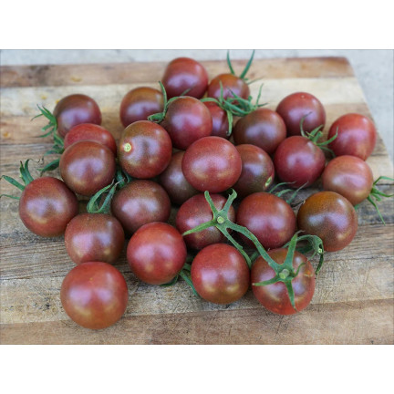W9558 SCHWARZE KIRSCHTOMATEN HOCHGEMAHLEN 0,3G SAMEN TOMATEN