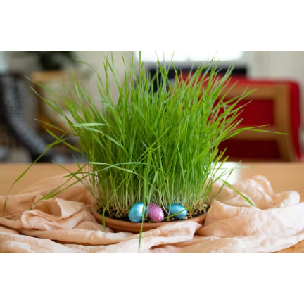 R3365 HAFERFLOCKEN DEKORATION OSTERTISCH DEKORATION 30G