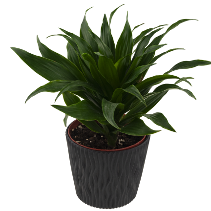 DSR130-S433 BLUMENTOPF DEKORATIVER DURCHBROCHENER TOPF 22,5CM SANDIG ANTHRAZIT MIT 5L EINSATZ