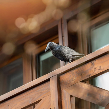 TG60297 GROSSE KRÄHE VOGEL ABSCHRECKUNG TAUBEN STARE