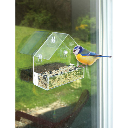 TG80446 VOGELFÜTTERUNG TRANSPARENTES FENSTER FENSTER SAMEN SONNENBLUMENFUTTER