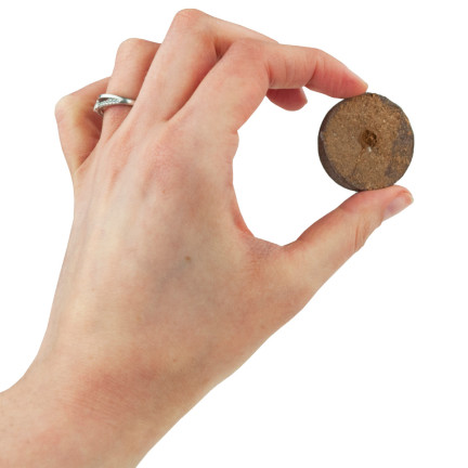 EDA3272 Kokosnussscheiben Keimungsmedium 37mm 20Stk