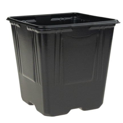 TG67331 P11 PRODUKTION TÖPFE FÜR BEIZEN SÄMLINGE 5PCS