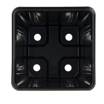 TG67331 P11 PRODUKTION TÖPFE FÜR BEIZEN SÄMLINGE 5PCS