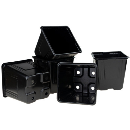 TG67331 P11 PRODUKTION TÖPFE FÜR BEIZEN SÄMLINGE 5PCS