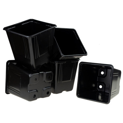 TG67331 P11 PRODUKTION TÖPFE FÜR BEIZEN SÄMLINGE 5PCS