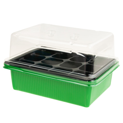 TG64403 MINI GLASROOM WACHSENDE INSPEKTIONSANLAGE 12 Kammer 4x4cm