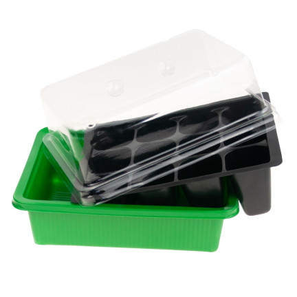 TG64403 MINI GLASROOM WACHSENDE INSPEKTIONSANLAGE 12 Kammer 4x4cm