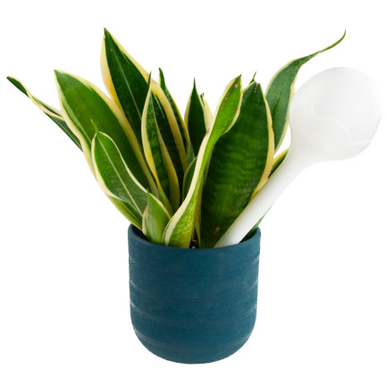 EDA8563-NEUE BEWÄSSERUNG KUGELN BLUME PFLANZE ZINKEN SPENDER IRRIGATOR 2PCS. KUGEL