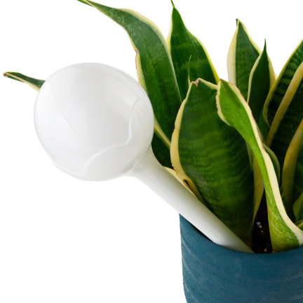 EDA8563-NEUE BEWÄSSERUNG KUGELN BLUME PFLANZE ZINKEN SPENDER IRRIGATOR 2PCS. KUGEL