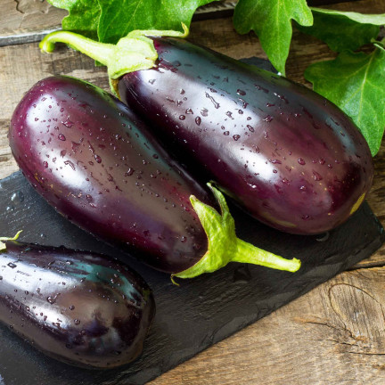 W1003 AUBERGINE SAMEN SCHWARZE SCHÖNHEIT LILA BIRNE DER LIEBE 1G
