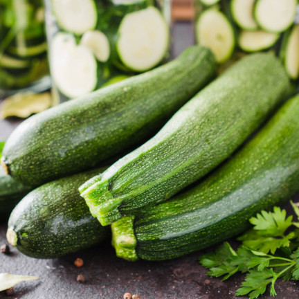 W1032 SCHWARZE SCHÖNHEIT Cucurbita pepo L. 5G
