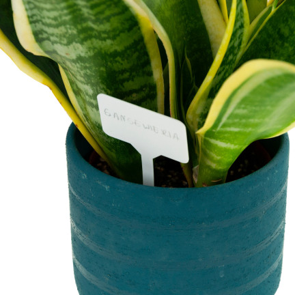 TG67653 ETIKETTIERUNGSANHÄNGER FÜR SETZLINGE 31 STK/KPL