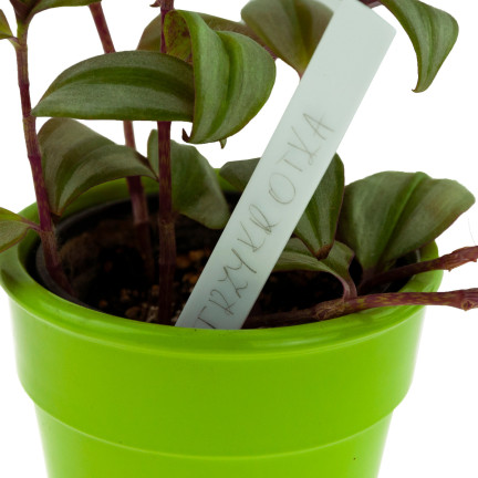TG60608 ETIKETTIERUNG TAGS PFLANZE SAMEN SÄMLINGE MARKER 10PCS/KPL