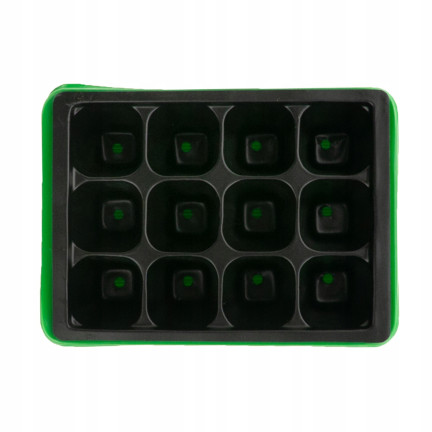 TG64403 MINI GLASROOM WACHSENDE INSPEKTIONSANLAGE 12 Kammer 4x4cm