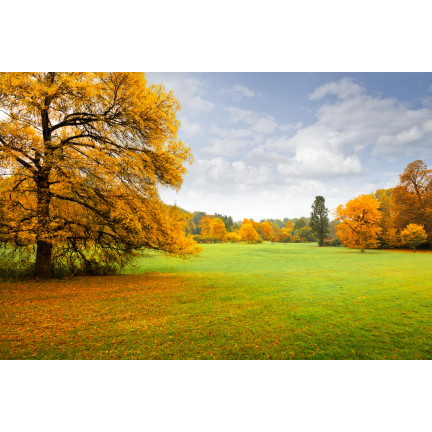 SUM68 SUMIN RASENDÜNGER 1KG HERBST OPTIMALE ZUSAMMENSETZUNG