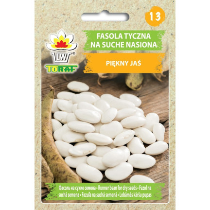 W2016 TYCZNA BOHNE SCHÖN JAS SAMEN FÜR TROCKENES GEMÜSE BOHNEN GROSSE SAMEN 25G