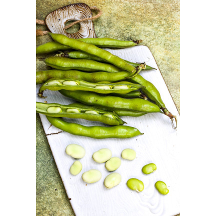 W1006 SEEDS WINDSOR WHITE BROAD BEAN MEDIUM EARLY VERY PROLIFIC 50G