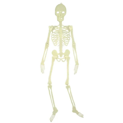 Hängeskelett, fluoreszierend, leuchtet im Dunkeln, Halloween-Dekoration, 140cm