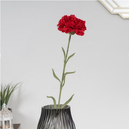 CV22527-6 NELKE EINZELNE BLUME ROT SCHÖN
