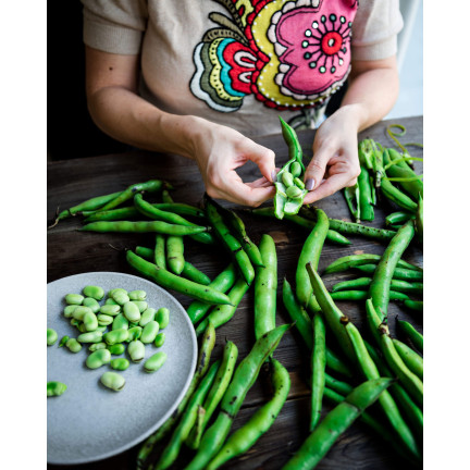 W1006 SEEDS WINDSOR WHITE BROAD BEAN MEDIUM EARLY VERY PROLIFIC 50G